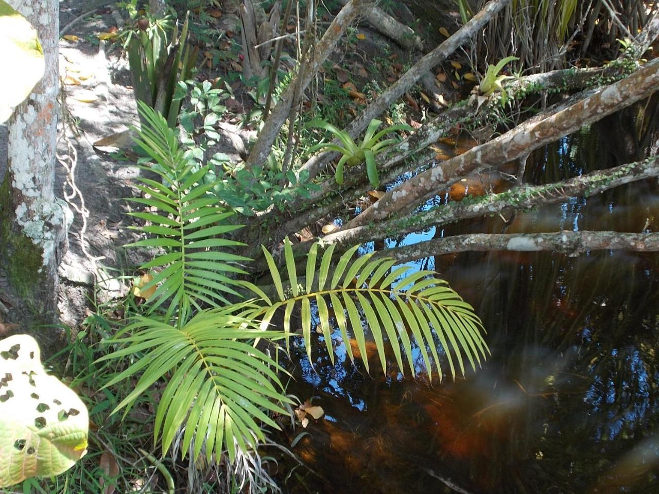 Onca 1024 Villa Trancoso Dış mekan fotoğraf