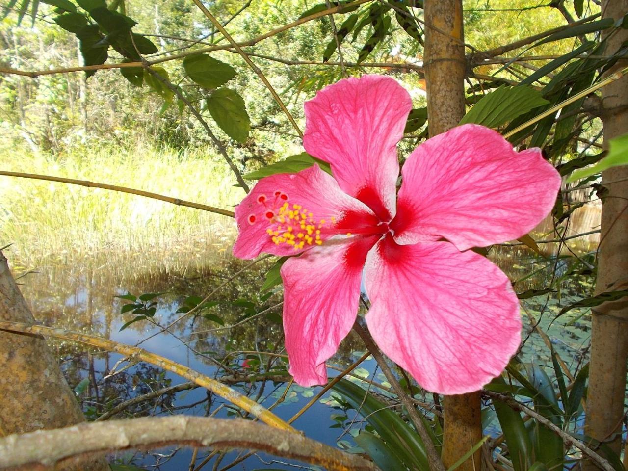 Onca 1024 Villa Trancoso Dış mekan fotoğraf